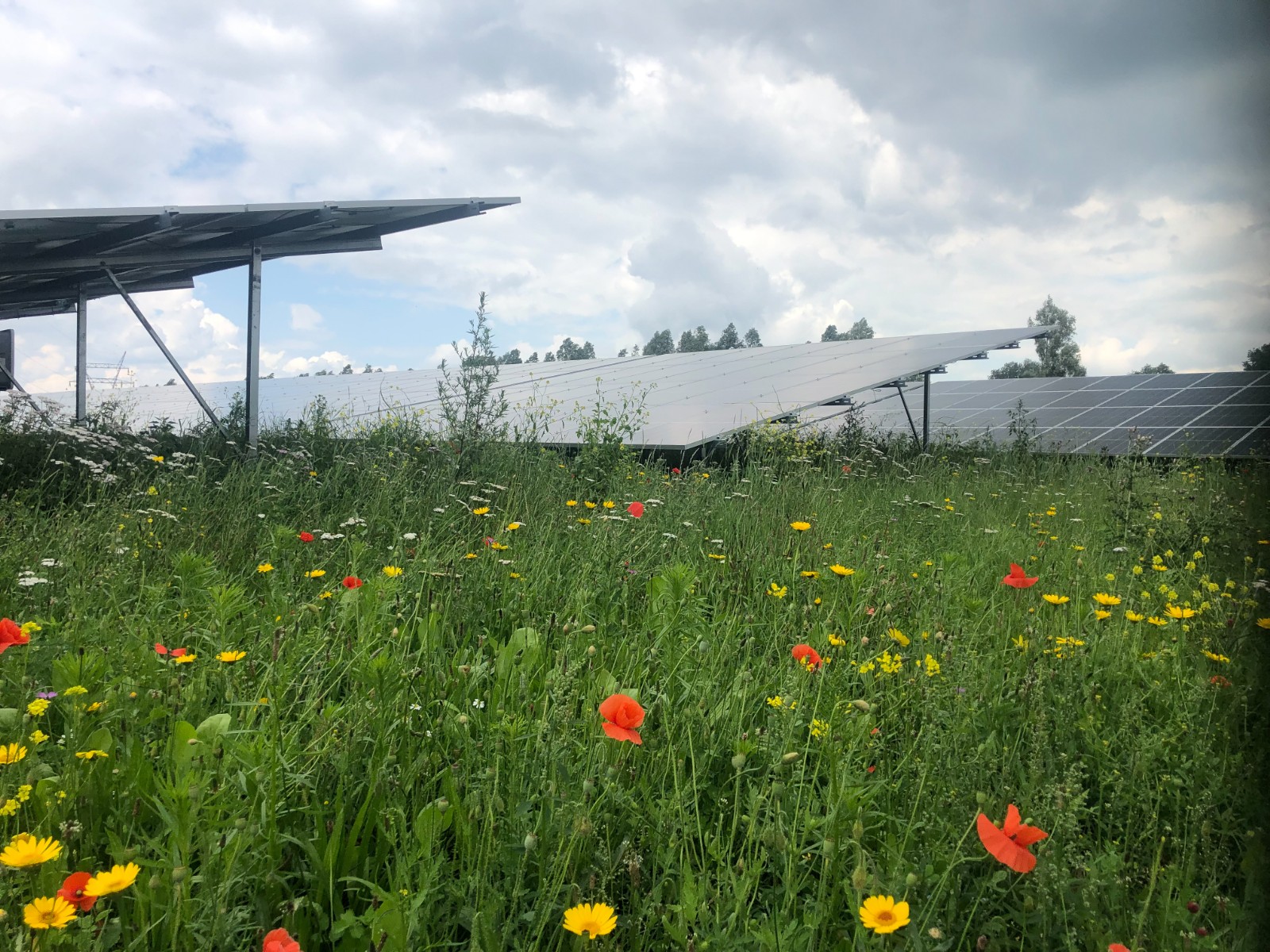 herroepelijke vergunning zonnepark kijfhoek